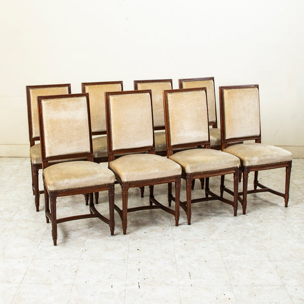 Set of Eight Louis XVI Chairs