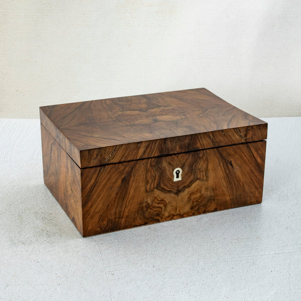 Louis Philippe Walnut Box