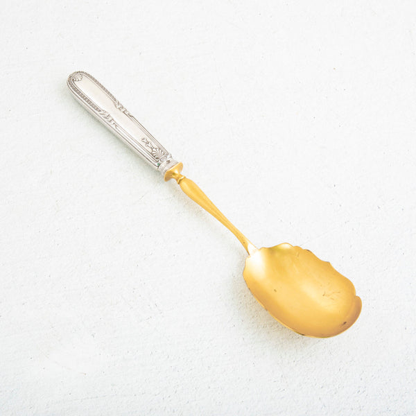 Silver and Gold Serving Spoon