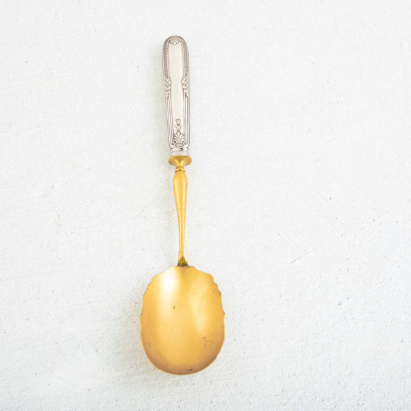 Silver and Gold Serving Spoon