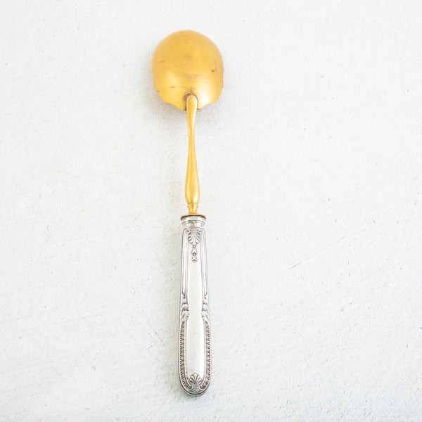 Silver and Gold Serving Spoon