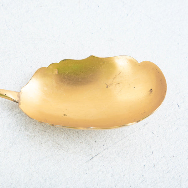 Silver and Gold Serving Spoon