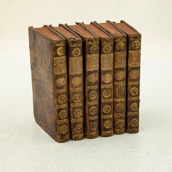 Set of Six Leather Books