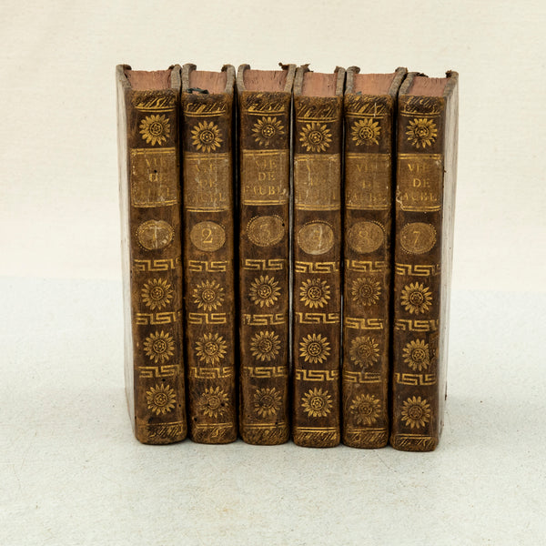 Set of Six Leather Books