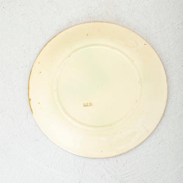 Majolica Plate