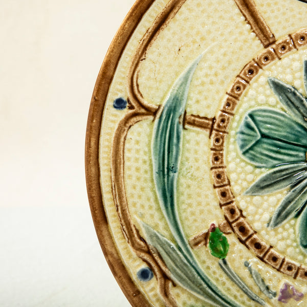 Majolica Plate