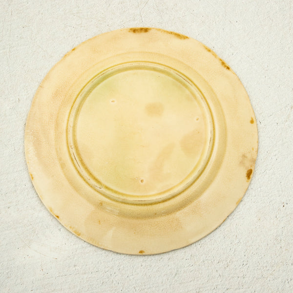 Majolica Plate