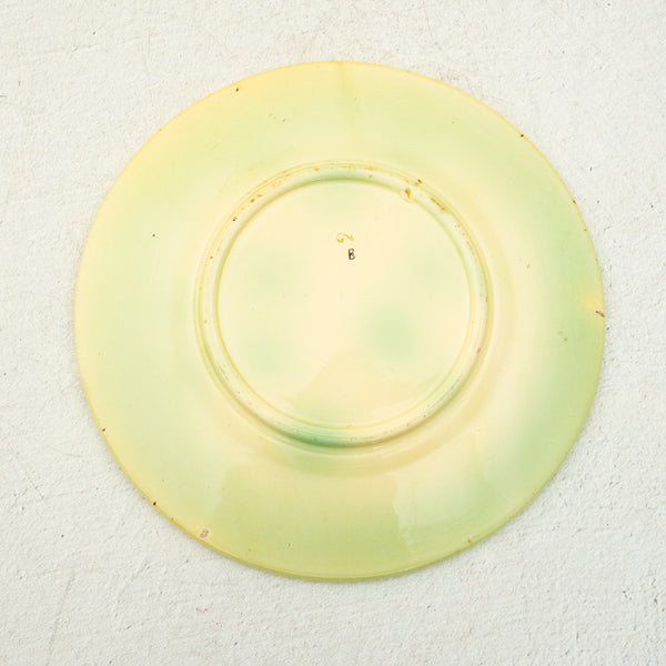Majolica Plate