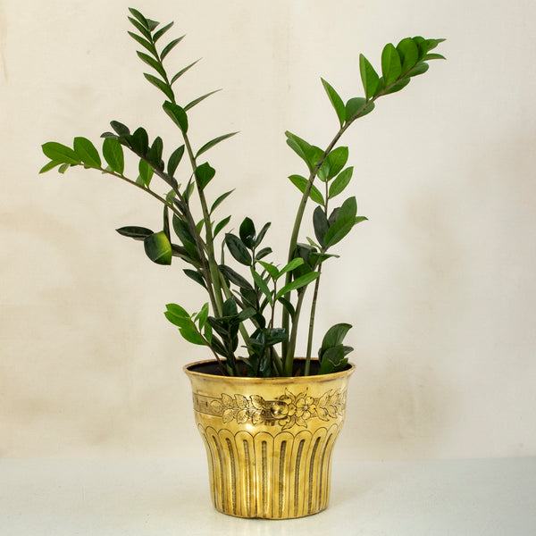 Brass Repousse Cachepot