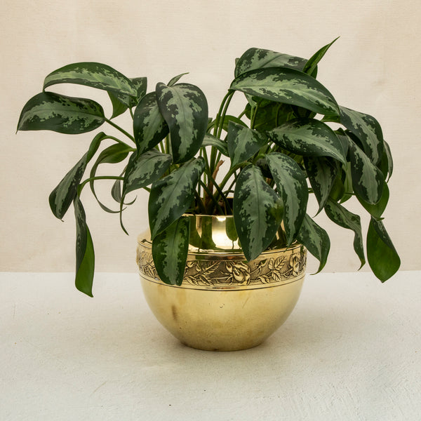 Brass Cachepot