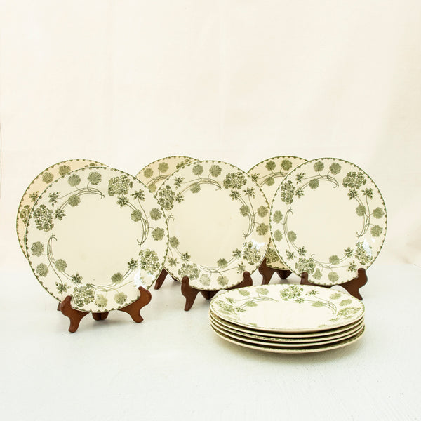 Nineteenth Century Plates
