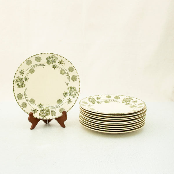 Nineteenth Century Plates
