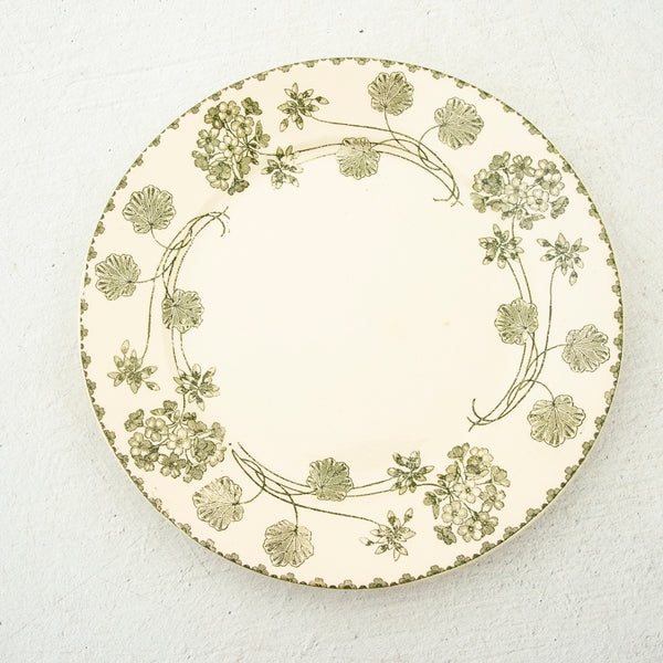 Nineteenth Century Plates
