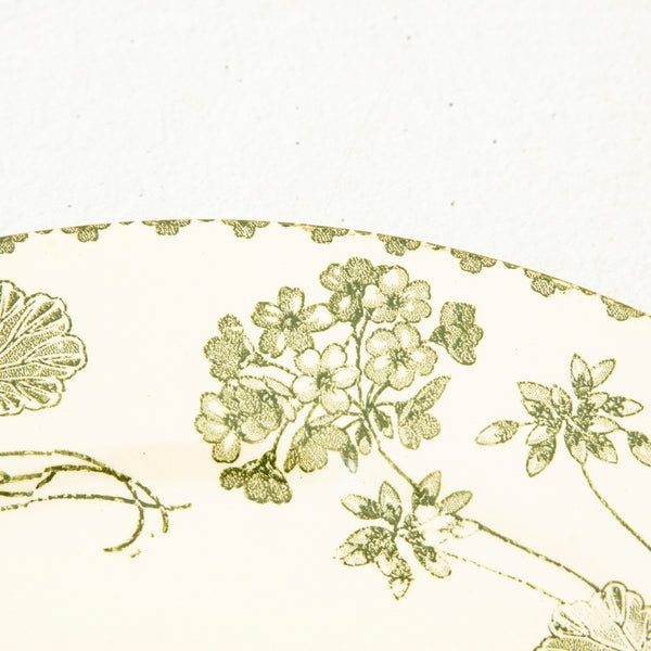 Nineteenth Century Plates
