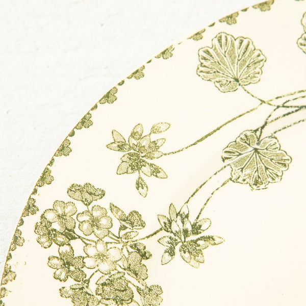 Nineteenth Century Plates