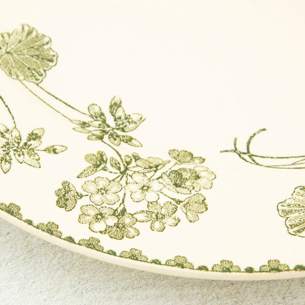 Nineteenth Century Plates