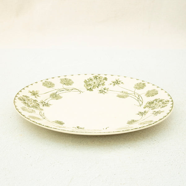 Nineteenth Century Plates