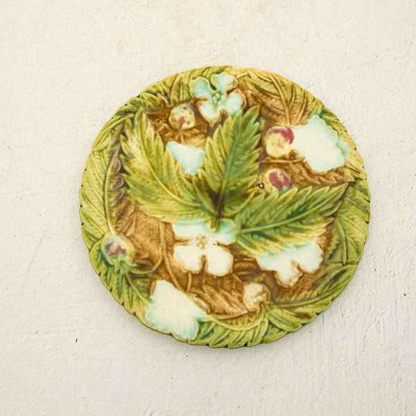 Majolica Plate