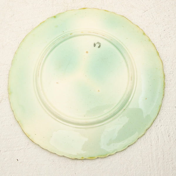 Majolica Plate