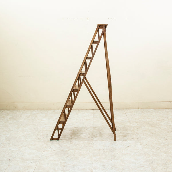 Folding Oak Ladder