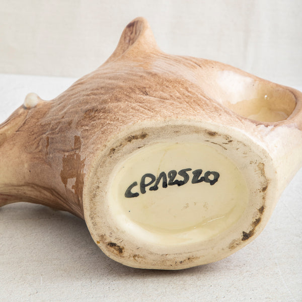 Wild Boar Pitcher
