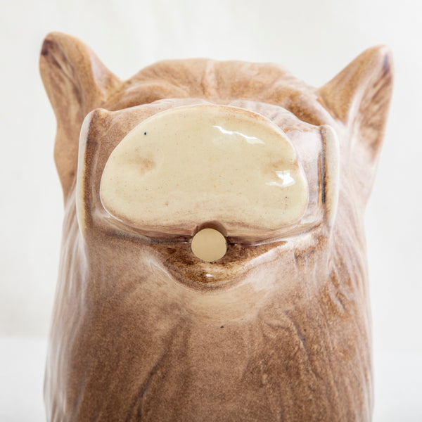 Wild Boar Pitcher