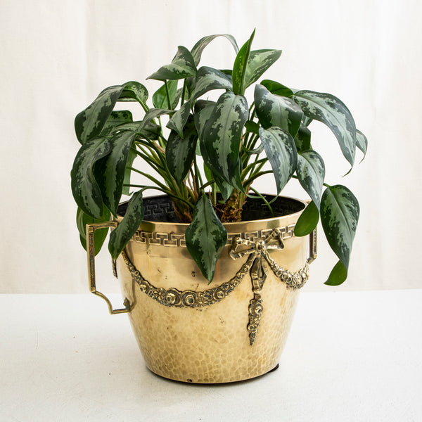 Bronze Louis XVI Cachepot