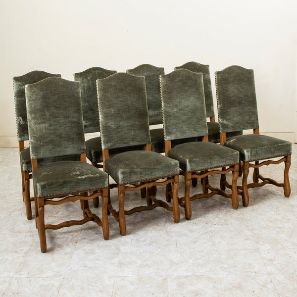 Set of Eight Mutton Leg chairs