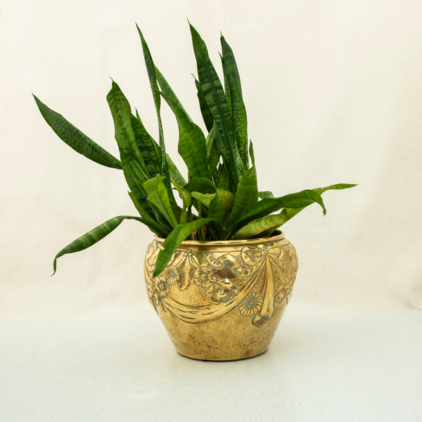 Bronze Cachepot