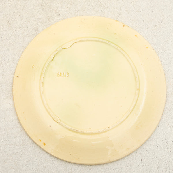 Majolica Plate