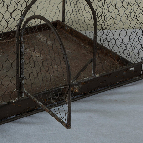 Iron and Wire Birdcage