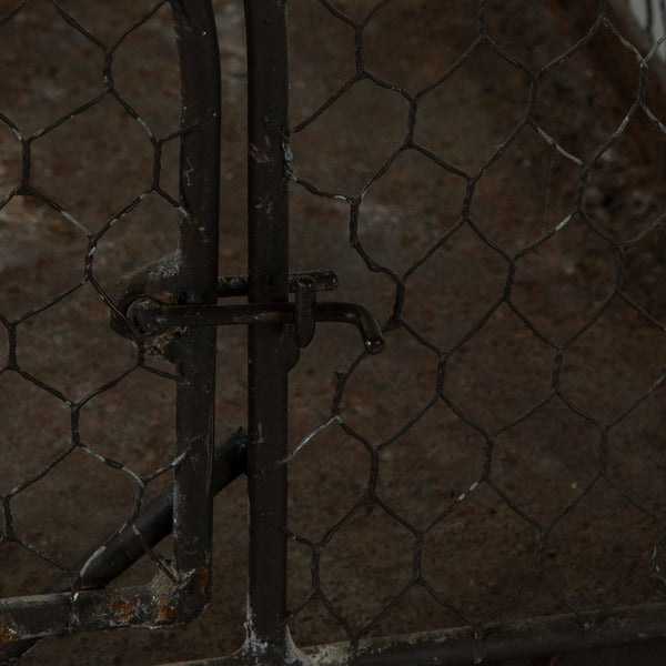 Iron and Wire Birdcage