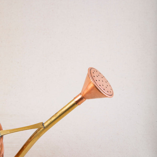 Petite Copper Watering Can