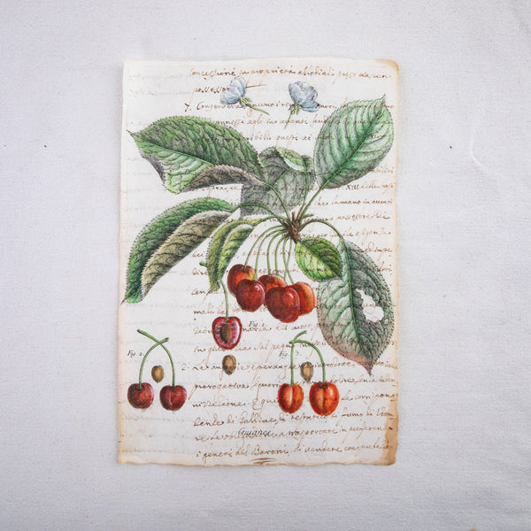 Watercolor on Antique Paper