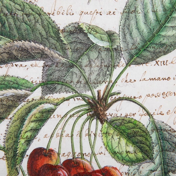 Watercolor on Antique Paper