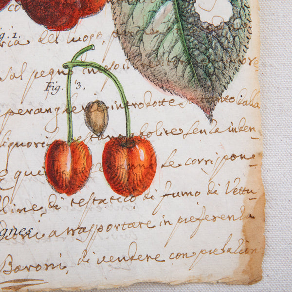 Watercolor on Antique Paper